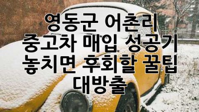🚗💨 영동군 어촌리 중고차 매입 성공기! 놓치면 후회할 꿀팁 대방출!